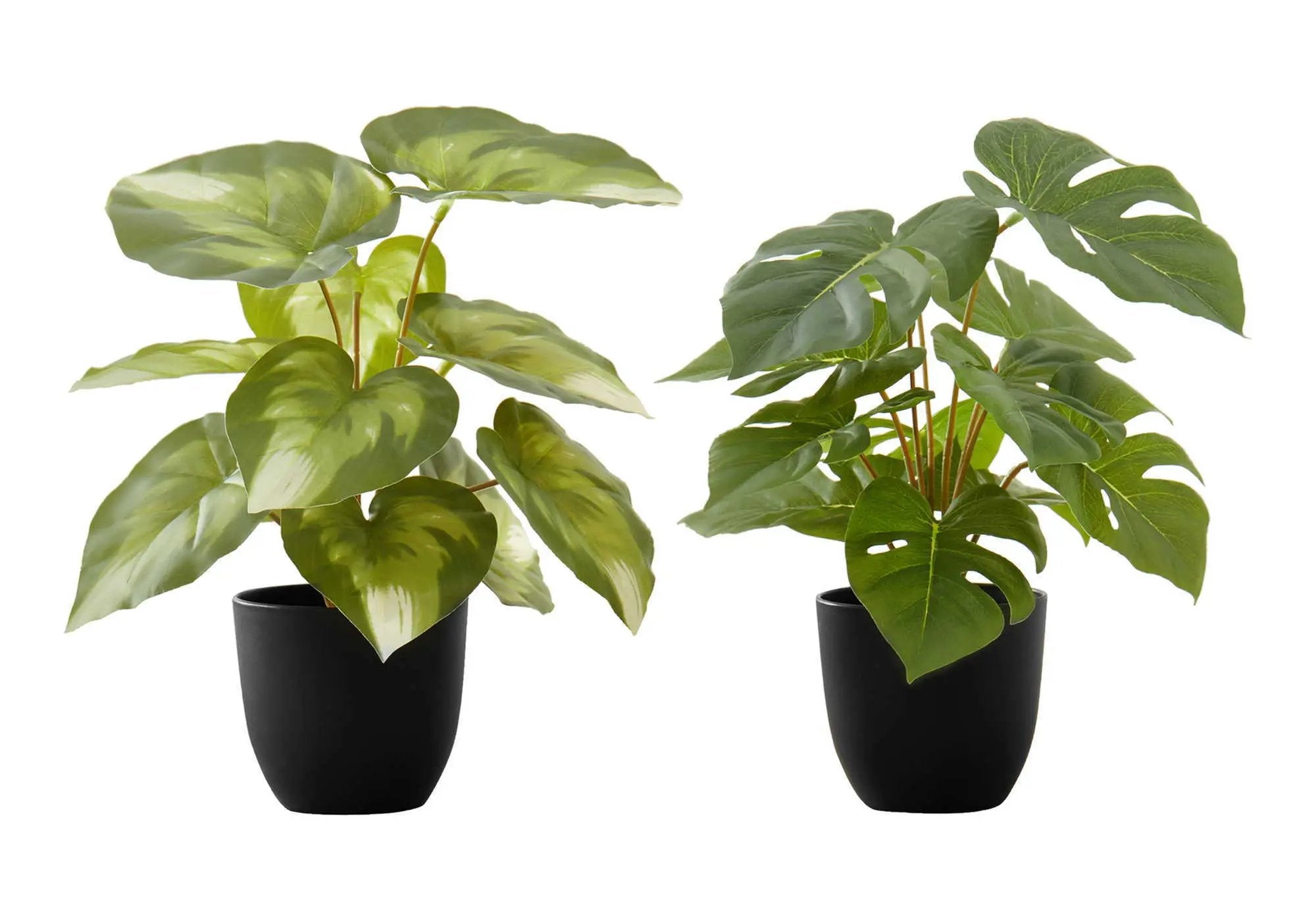 13" Tall Artificial Monstera and Calathea Plants, Set of 2 by HouseOfZazla