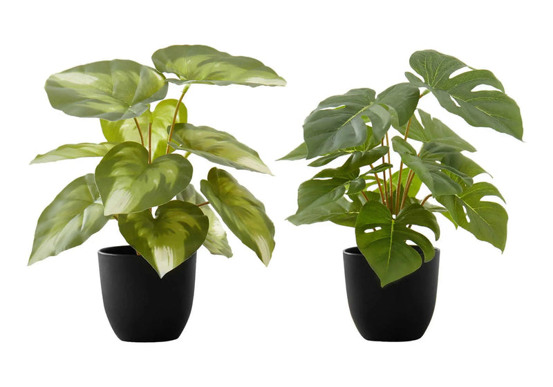 13" Tall Artificial Monstera and Calathea Plants, Set of 2 by HouseOfZazla