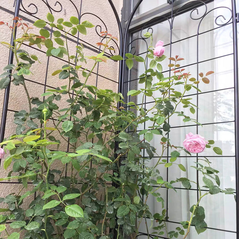 Metal Garden Trellis For Climbing Plants Outdoor Rustproof Plant Support Rose Trellis Netting Trellis by HouseOfZazla
