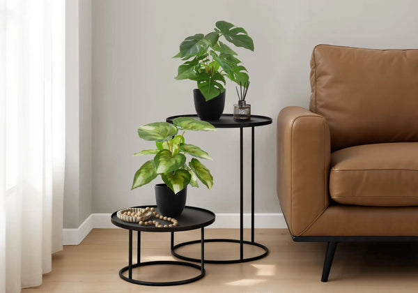 13" Tall Artificial Monstera and Calathea Plants, Set of 2