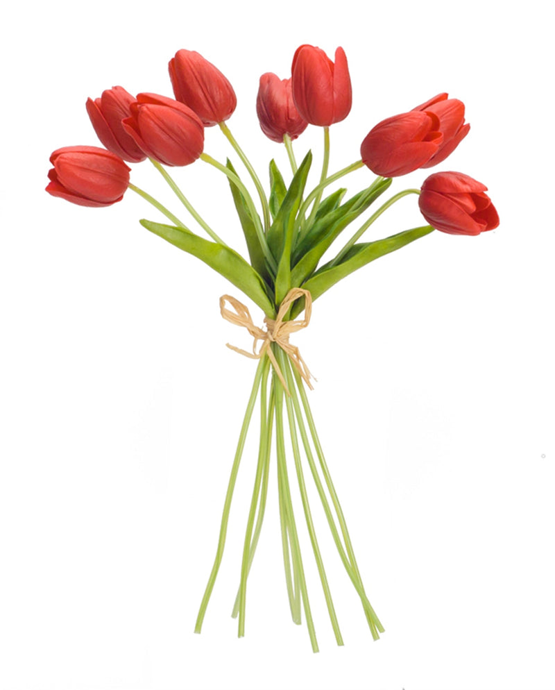Spring Red Tulip Bundle (Set of 6), photo 2 of 2