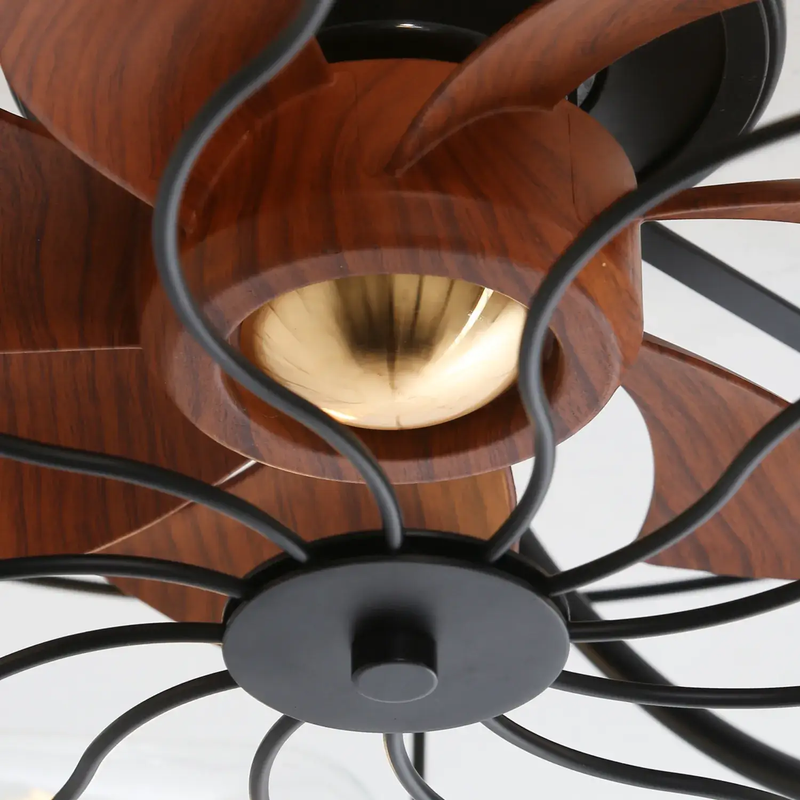 Industrial Style 20 Inch Matte Ceiling Fan with Light by HouseOfZazla