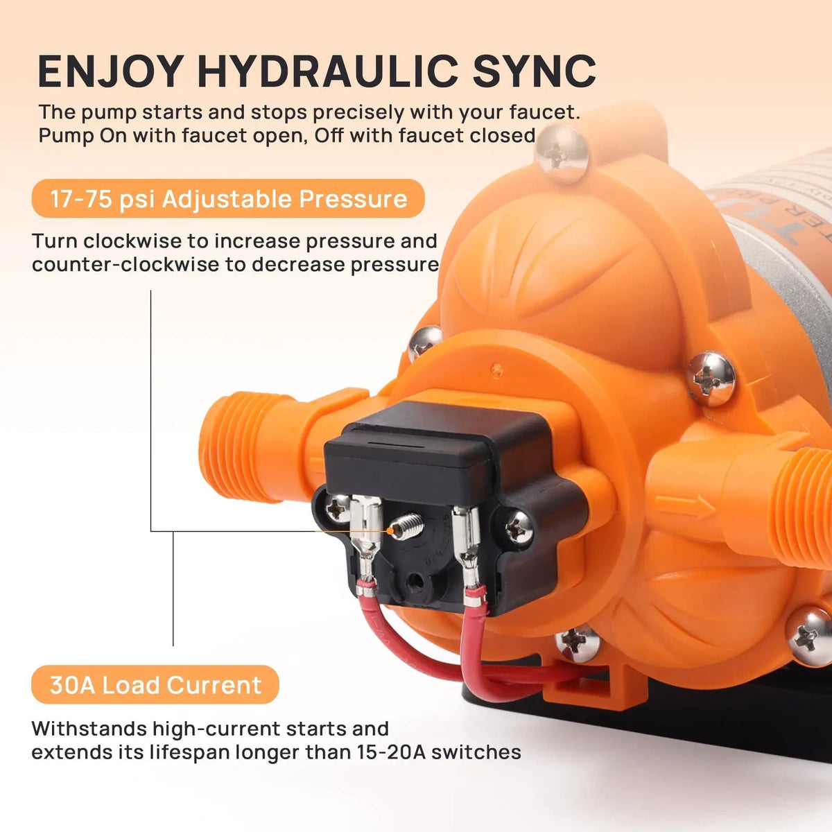 Rotorua RV Diaphragm Water Pressure Pump by TURBRO