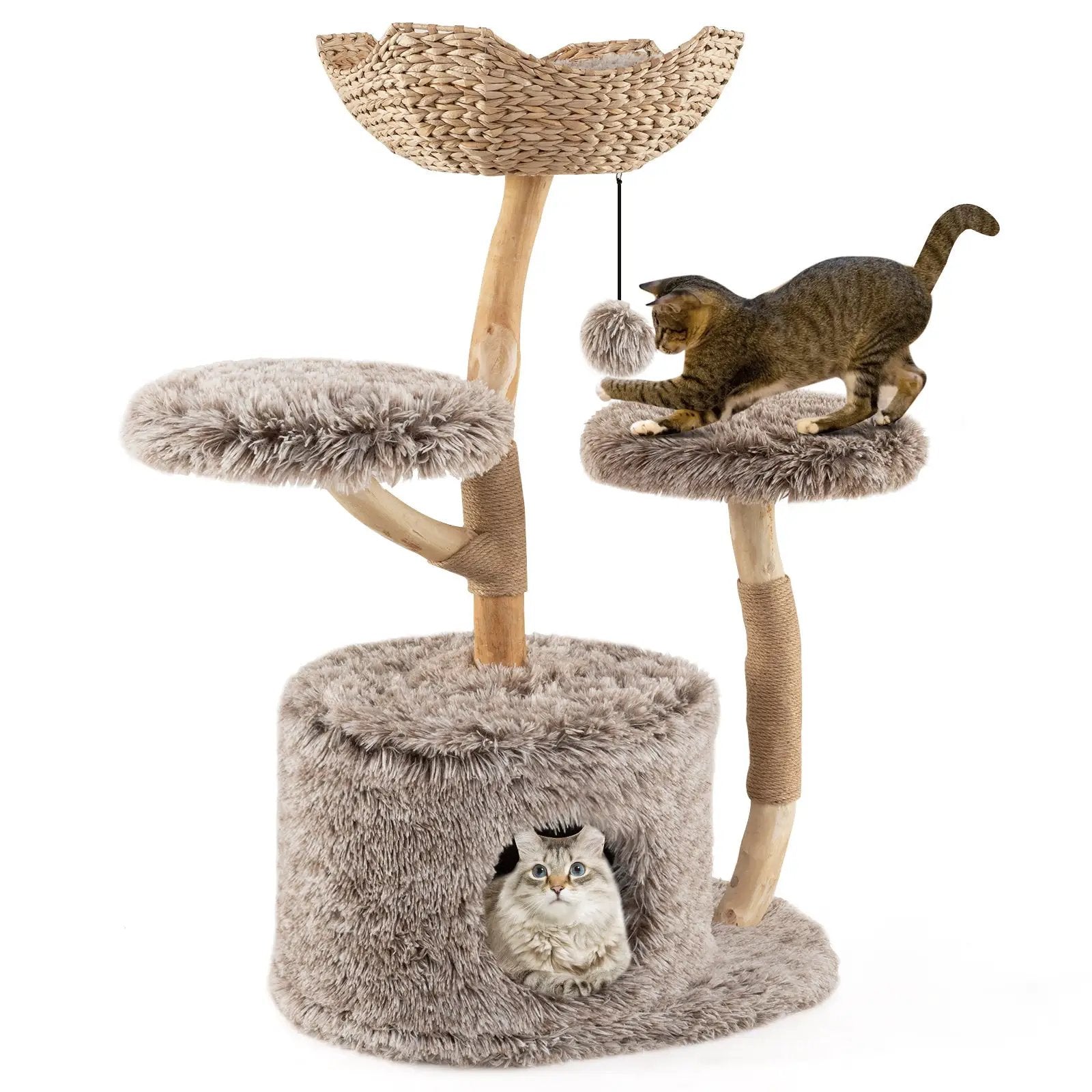 Wood Cat Tree Solid Pear Cat Tree with Perch and Sisal Scratching Posts-Brown by DirectDeals