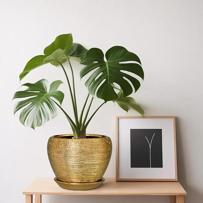 Indoor Plant Pot 6 Inch - Ceramic Pot for Plants Outdoor Planter with Drainage Hole and Saucer Round Decorative Planter Modern Flower Pot for Home Decor Gold by GreenHaven Gardens