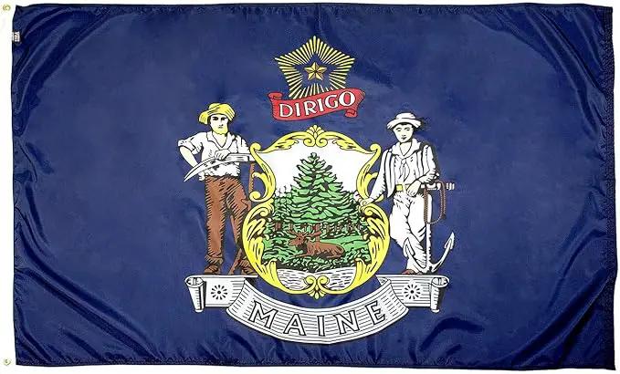 FlagSource Maine Nylon State Flag, Made in the USA, 3x5' by GreenHaven Gardens