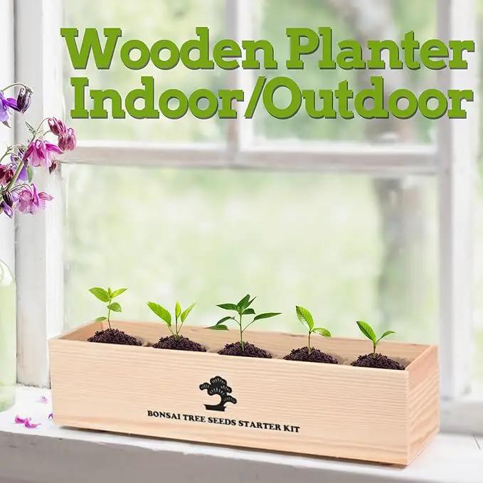 Indoor Bonsai Garden Starter Kit, 5 Seeds Growing into Red Maple, Wisteria, Black Pine, Judas Tree, Acacia, Including Complete Gardening Planters & A Wooden Box, Christmas Gifts for Women by GreenHaven Gardens