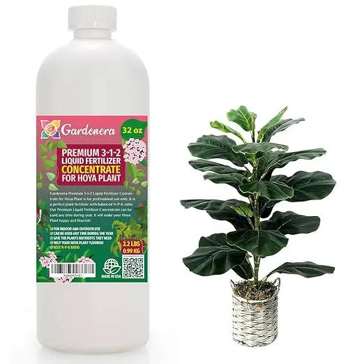 Premium Liquid Fiddle Leaf FIG Plant Fertilizer - 3-1-2 Concentrate for Indoor Plants and Flowers by Gardenera | Organic Plant Food for Fiddle Leaf Fig - 32oz by GreenHaven Gardens