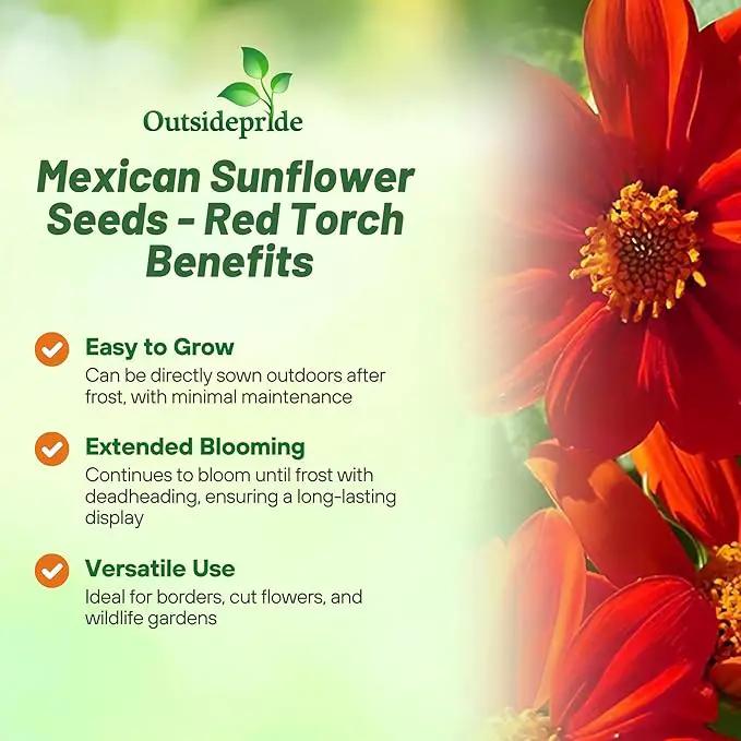 Outsidepride Red Torch Mexican Sunflower Seeds - 1000 Seeds Annual Tithonia, Fast-Growing, Heat & Drought-Tolerant Flower Seeds for Pollinator Gardens, Landscapes, & Flower Arrangements (AAS Winner) by GreenHaven Gardens
