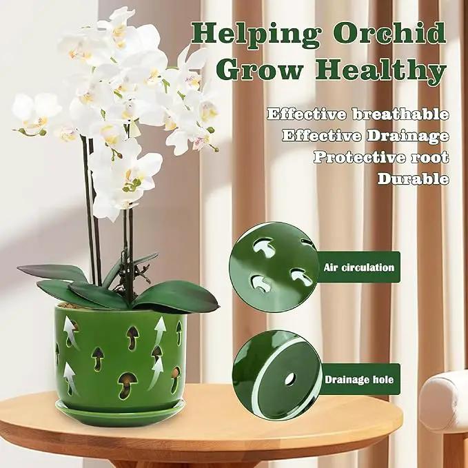 KERUITA Orchid Pots with Holes, 6 inch + 5 inch Orchid Planters with Dancing Mushroom Shaped Holes, Enhanced Drainage and Ventilation,Green Flower Pots for Indoor/Outdoor Plants for Repotting by GreenHaven Gardens