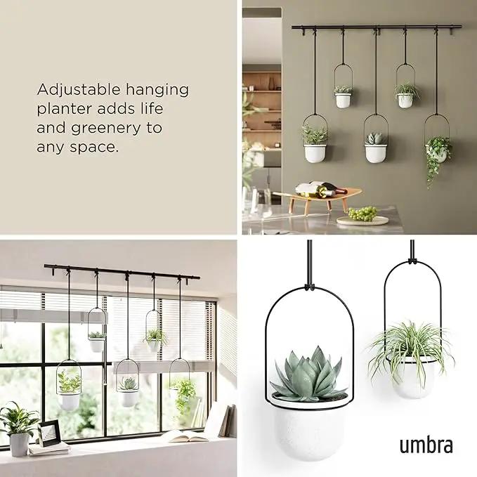 Umbra Triflora Hanging Planter for Window, Indoor Herb Garden, Set of 5, White/Black by GreenHaven Gardens