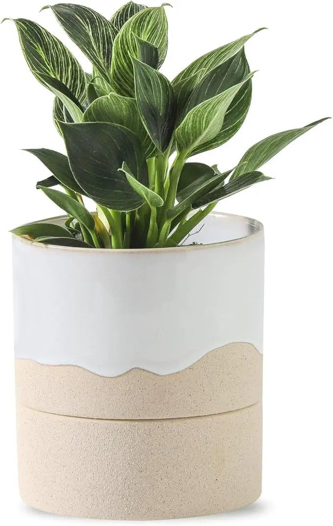 Nihow Self Watering Plant Pot: 4.5 Inch Ceramic Planter with Drainage Hole & Water Storage Plus for Indoor & Outdoor Plants - Cylinder Flower Pot for Herbs/Violets - White & Nature by GreenHaven Gardens