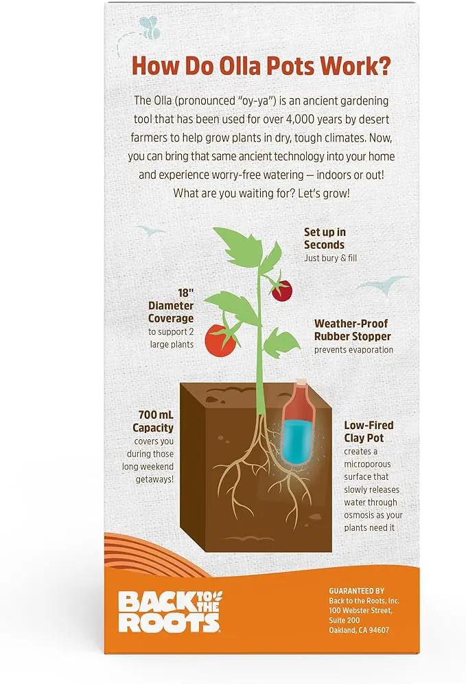Back to the Roots Self-Watering Terracotta Olla Pot (Pack of 3), 700mL Provides 1 Week of Precision Watering by GreenHaven Gardens