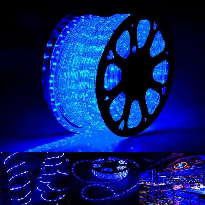 100ft LED Rope Lights Outdoor, 720 LED Connectable and Flexible Tube Lights with 8 Modes, Waterproof LED Rope Lighting for Garden, Patio, Bedroom, Party, Pool, Indoor Outdoor Xmas Decoration (Blue) by GreenHaven Gardens