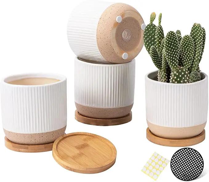 AOMRYOM 4 Inch Small Ceramic Plant Pots with Drainage Hole and Saucer, Modern Flower Planter for Succulent, Indoor Plants, Cactus, Herbs, White, Set of 4 (Plant Not Included) by GreenHaven Gardens