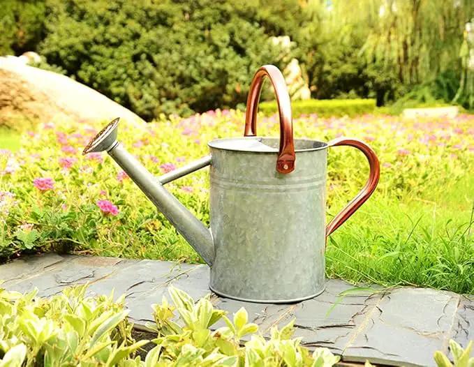 Metal Watering Can, One Gallon Watering Cans Stainless Steel for Outdoor Indoor Garden Plants Watering (Zinc 1 Gallon) by GreenHaven Gardens