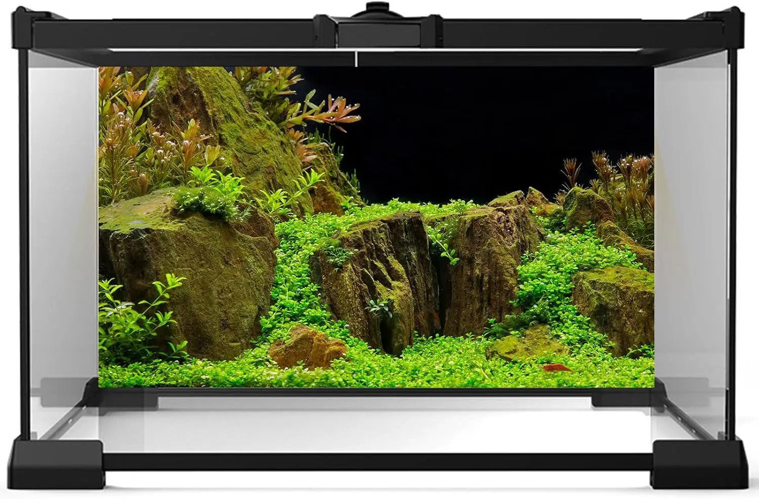 Aquarium Background Exquisite Underwater Grass with Moss Aquarium Backdrop Mysterious Stone Aquarium Background Durable Vivid and Fresh Leaves Background Tank Backdrop Decor Vinyl 48x20in by GreenHaven Gardens