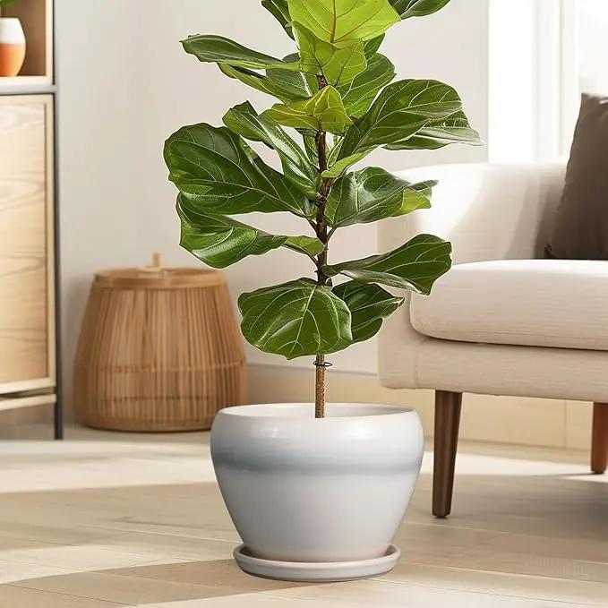 Ceramic Planter - 8 Inch Plant Pot with Drainage Hole and Saucer, Glaze Round Flower Pot for Home Garden Patio Office, White by GreenHaven Gardens