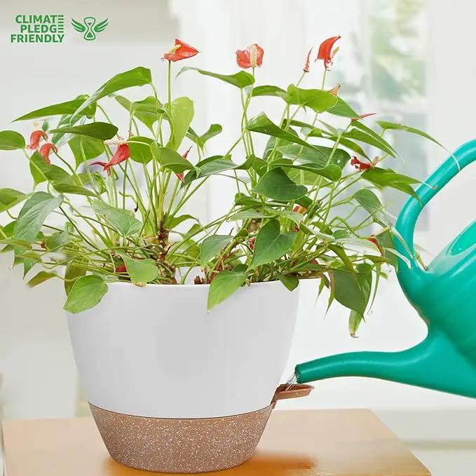12 Inch Large Self Watering Plant Pot Set, Flower Pots with Multi-Mesh Drainage Holes and Saucer, Suitable for Indoor and Outdoor Garden Plants, White. by GreenHaven Gardens