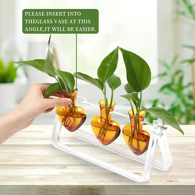 Plant Terrarium Propagation Stations with Wooden Stand Birthday Gifts for Women Plant Stand Indoor Office Home Decor by GreenHaven Gardens