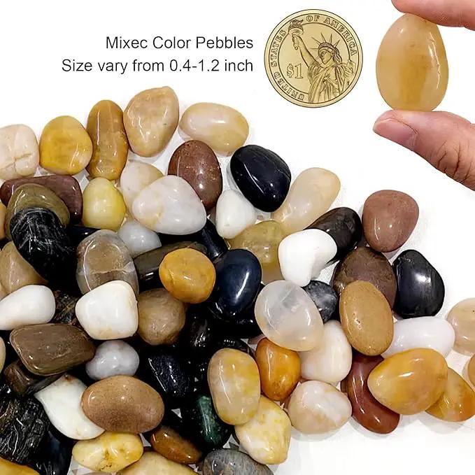 River Rocks 20 Lbs,0.4-1.2 Inch Pebbles for Indoor Plants, High Polished Stones for Garden Landscaping, Smooth Gravel Filler for Outdoor Plants, Succulents, Fish Tank and Vases by GreenHaven Gardens