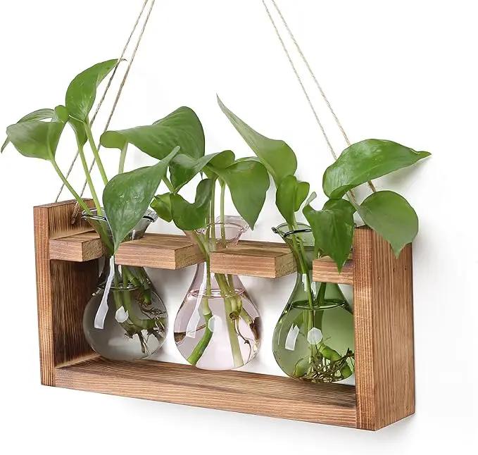 Plant Propagation Station Plant Terrarium Unique Birthday Gifts for Women Plant Lovers Home Office Decor Planter with Wooden Stand - 3 Bulb Glass Vase by GreenHaven Gardens