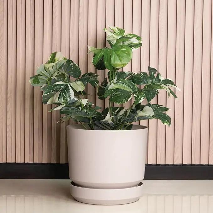 Elly Décor 10 inch Plastic Cylinder Planter Pot with Self-Watering Saucer and Drainage Hole,Lightweight & Extremely Durable, 10"x 10", Ivory by GreenHaven Gardens