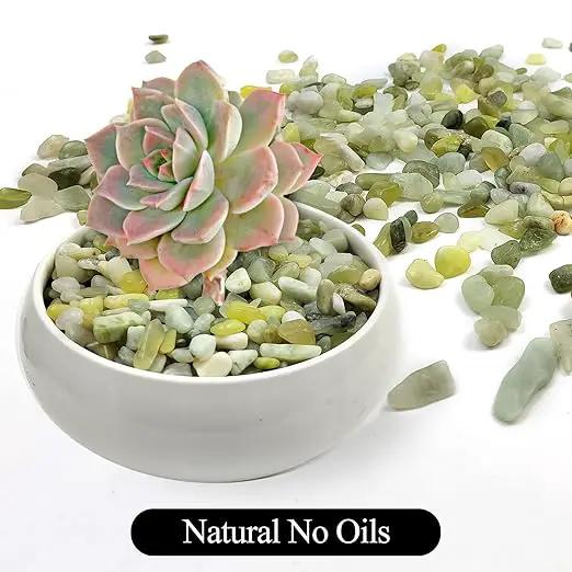 5LB Succulent Jade Pebbles, 3/8 Inch Natural Decorative Polished Stones, River Rocks for Vase, Flowerpot, Indoor and Garden Decoration by GreenHaven Gardens