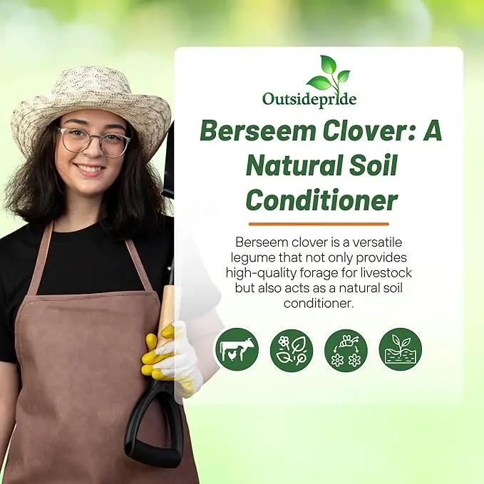 Outsidepride Annual Berseem Clover Seeds for Lawn - 10 lbs. High-Yield, Fast-Growing Clover Cover Crop Seeds for Food Plots, Cattle Forage & Nitrogen-Rich – Ideal for Pastures & Soil Improvement by GreenHaven Gardens