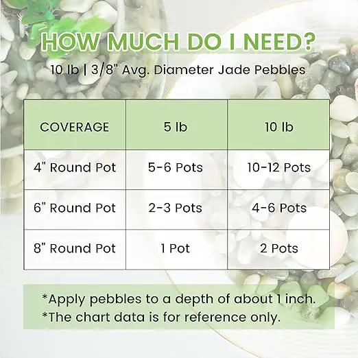 SIDONG 10 LB Jade Pebbles, 2/5 Inch Natural Decorative Polished Jade Stones, Jade River Rocks for Succulents, Cactus, Vases, Indoor Plants, Garden Landscaping, Bamboo by GreenHaven Gardens