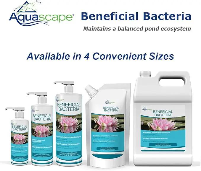 Aquascape - Beneficial Bacteria for Ponds - 8.45 oz Liquid by GreenHaven Gardens