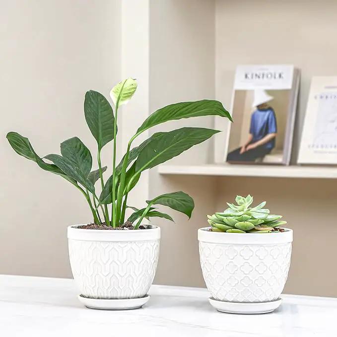 Sureasy Ceramic Indoor Plant Pots - 5.6 Inch Flower Pots for Plants with Drainage Hole and Saucer, Embossed Planter for Succulents, Orchid, Cactus, Indoor Home Decor, Set of 4, White by GreenHaven Gardens