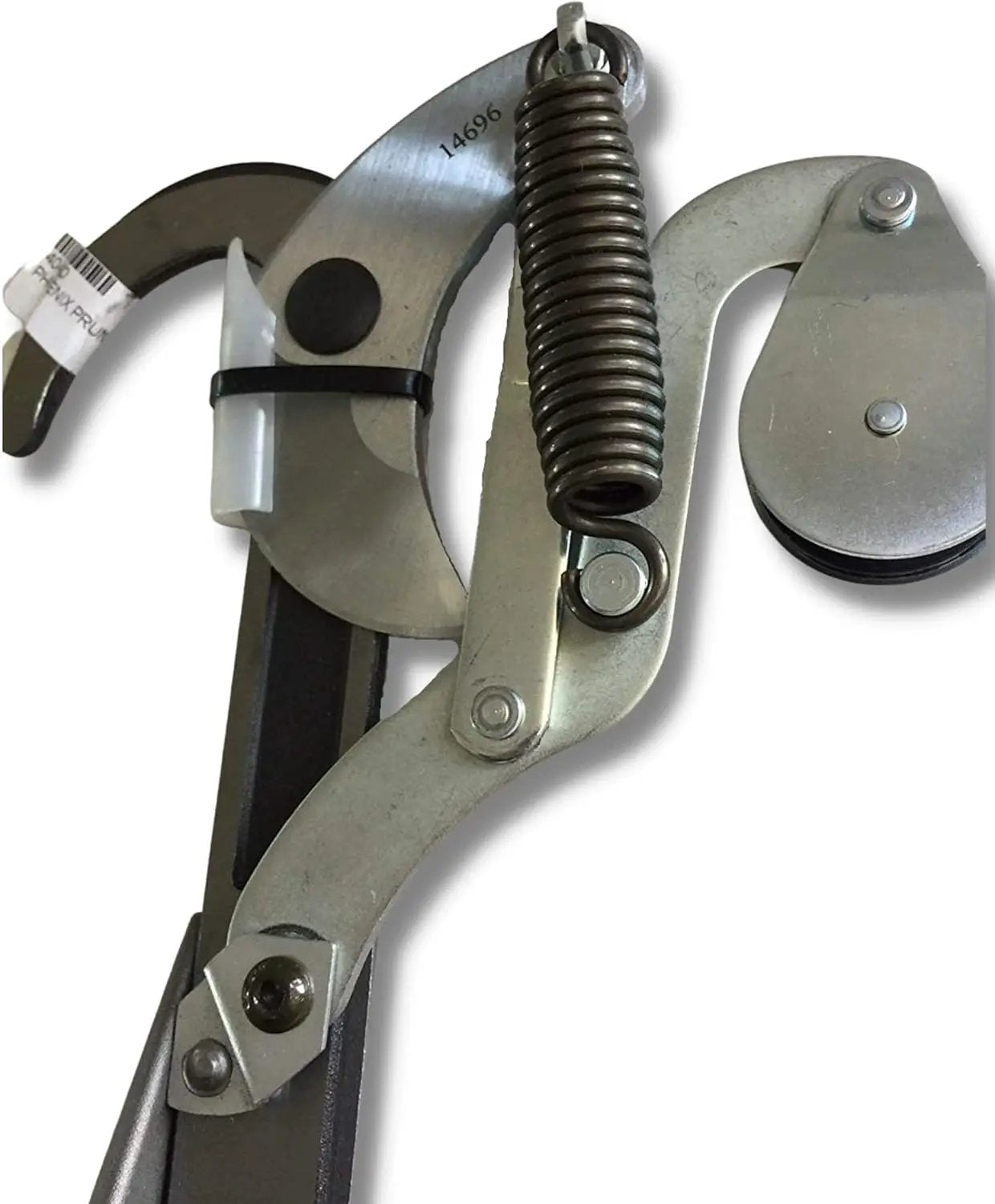 Phoenix Pruner Head Professional 1 3/4" Cut for Round Poles Made in U.S.A. by GreenHaven Gardens
