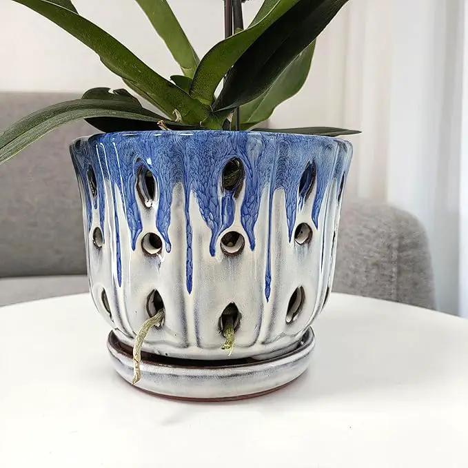 Ceramic Orchid Pot with Drainage Hole 6'' Orchid Planter (Blue Cover White) by GreenHaven Gardens