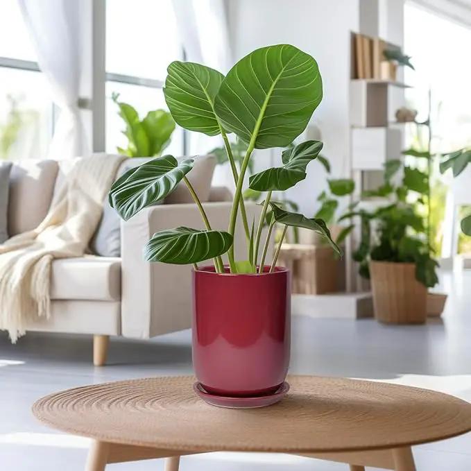 Ceramic Pot for Plants - 8 Inch Plant Pot Indoor with Drainage Hole and Saucer Cylinder Flower Pot for Indoor Outdoor Plants Home Patio Office Decor Red by GreenHaven Gardens
