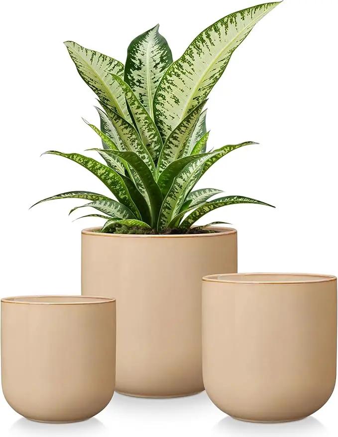 vancasso Ceramic Plant Pots, 4+5+6 inches, Set of 3, Planters with Drainage Hole, Flower Pots Planters Pots for Indoor Plants, Modern Indoor Decorative Garden Pot, Home Decor, Brown by GreenHaven Gardens