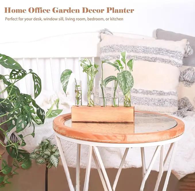 KAXYEW Plant Propagation Station, Plants Propagation Tubes, Gifts for Plant Lovers, Plants Cutting Holder Test Tube Vase Office Desk Garden Décor Gift for Her Mom Women Hydroponic Vase Gift Box by GreenHaven Gardens