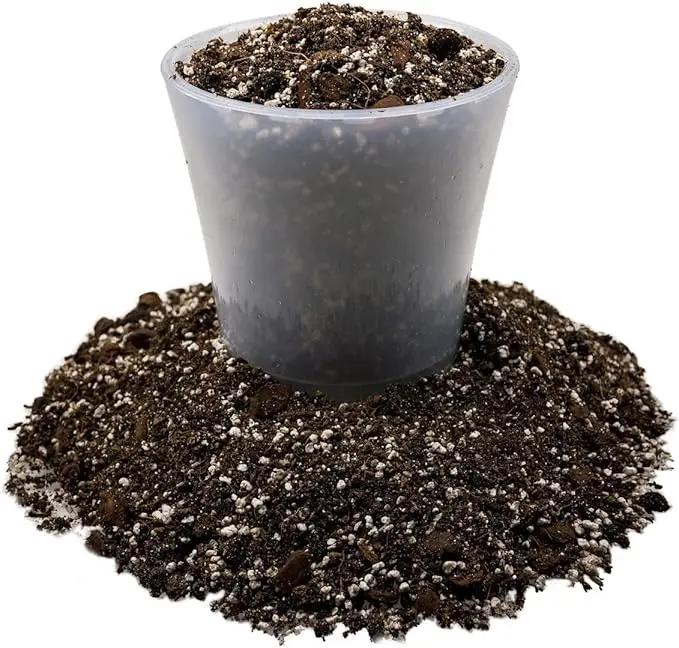 Premium Coco Coir and Perlite Potting Mix, Soil for Maximum Plant Growth, Perfect for Indoor and Outdoor Container Gardens by Gardenera - 1 Quart by GreenHaven Gardens