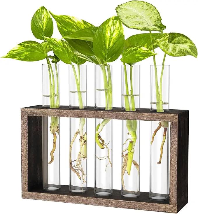 Ivolador Plant Propagation Station Terrariumin Wall Test Tube Vases Bud Tabletop Glass Wooden Stand with 5 Propagation Tubes for Propagating Hydroponic Plants Home Garden Wedding Decoration-Brown by GreenHaven Gardens