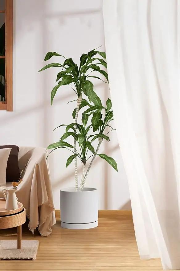Aveyas 10 inch Ceramic Plant Pot with Drainage Hole and Saucer - Suitable for Indoor and Outdoor Use, Modern Planters for House Garden Flower Tree Snake Monstera Plants (10", Matte White) by GreenHaven Gardens