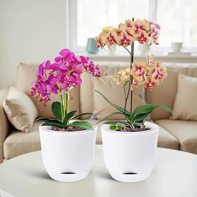 QCQHDU 2 Pack Orchid Pots with Holes for Repotting, Double-Layer and Self Watering Orchid Pot with Good Air Circulation by GreenHaven Gardens