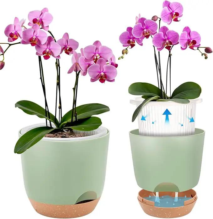 7.2 Inch Self Watering Orchid Pots for Indoor Plants,Macetas para Orqudeas,Flower Pots for Indoor Plants with Holes(Green) by GreenHaven Gardens