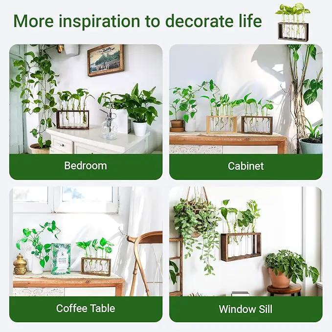 Ivolador Plant Propagation Station Terrariumin Wall Test Tube Vases Bud Tabletop Glass Wooden Stand with 5 Propagation Tubes for Propagating Hydroponic Plants Home Garden Wedding Decoration-Brown by GreenHaven Gardens