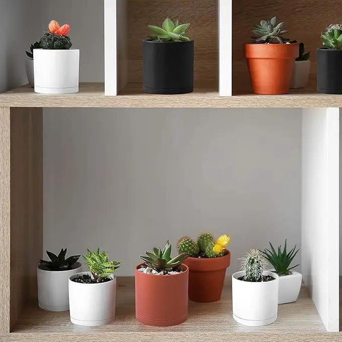 D'vine Dev 18 Pack 2.5 Inch Mini Plastic Plant Pots, Small Garden Planters for Plant with Drainage Holes and Saucers, White Color, 74-Z-B-5 by GreenHaven Gardens