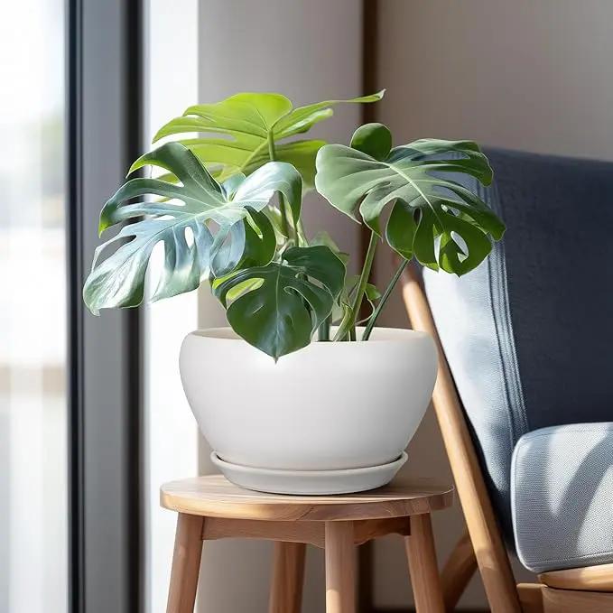 Ceramic Planter for Indoor Plants - 11 Inch Plant Pot with Drainage Hole and Saucer Decorative Round Large Planter Pot for Plants Outdoor Flower Pot for Garden White by GreenHaven Gardens