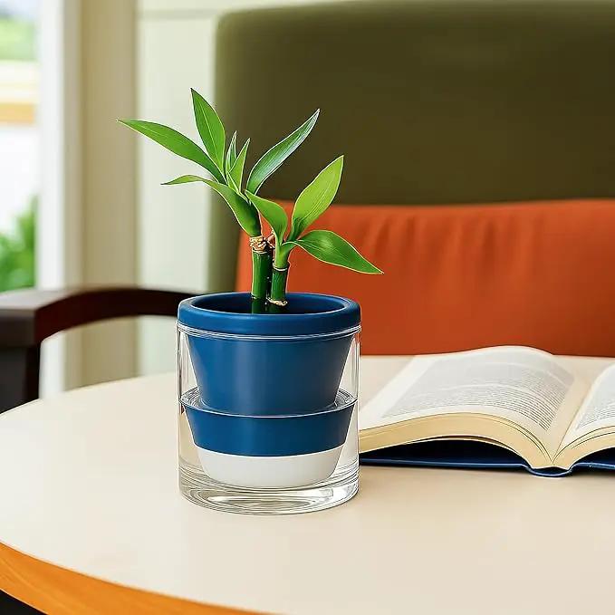 D'vine Dev 4 Inch Design Self Watering Planter for Indoor Plants, Blue Terracotta Pot with Cylinder Glass Cup, Set of 2, 37-Y-A-4 by GreenHaven Gardens