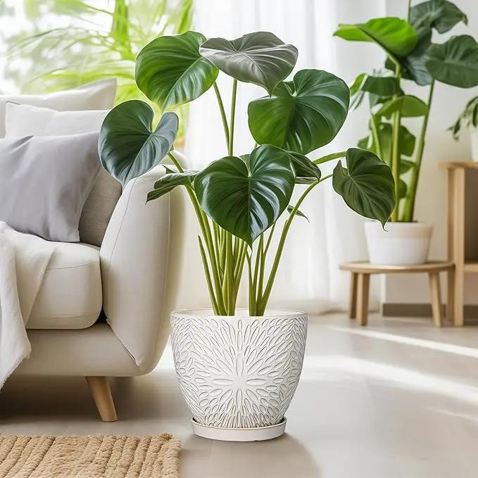 G EPGardening 10 Inch Ceramic Planter Pot with Drainage Hole and Saucer Large Plant Pot for Indoor Plants Outdoor Round Flower Pot for Home Garden Office White by GreenHaven Gardens