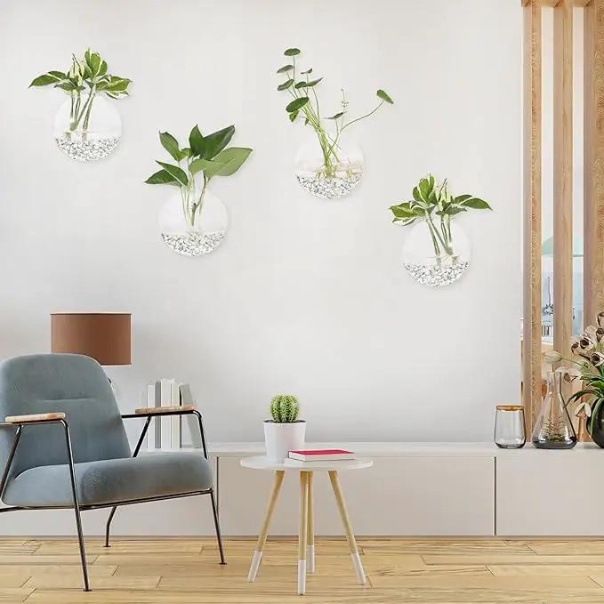 Pack of 6 Glass Planters Wall Hanging Planters Round Glass Plant Pots Hanging Air Plant Pots Flower Vase Air Plant Terrariums Wall Hanging Plant Container by GreenHaven Gardens