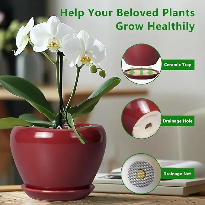 Ceramic Pot for Plants - 6 Inch Plant Pot Indoor with Drainage Hole and Saucer Succulent Outdoor Planter Round Flower Pot for House Patio Decor Red by GreenHaven Gardens