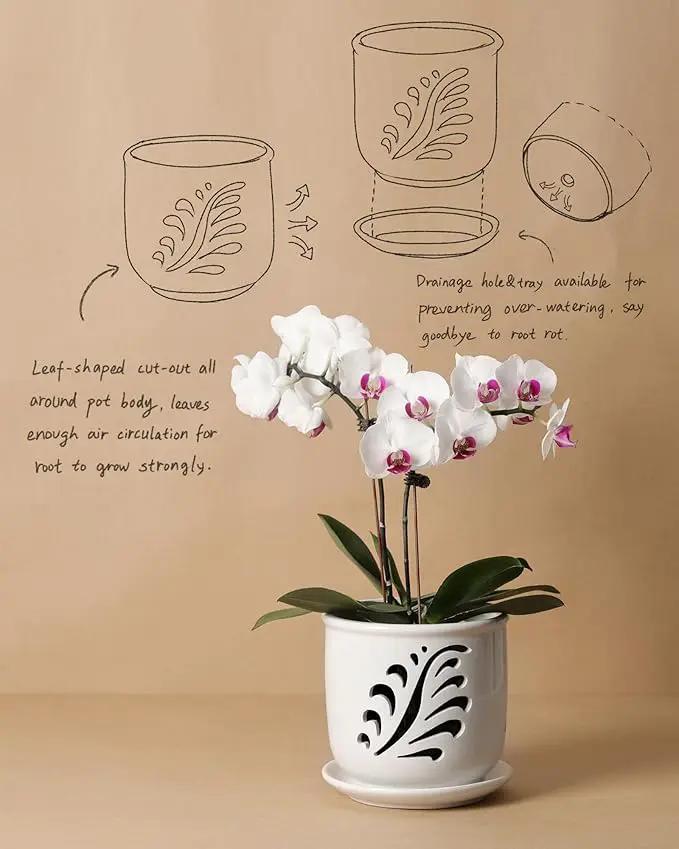 Ceramic Orchid Pot, 6 Inch Orchid Pots with Holes and Saucer for Indoor/Outdoor Plants Drainage & Air Circulation, White Orchid Planter for Repotting or New Plants by GreenHaven Gardens